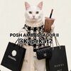 kapekat2